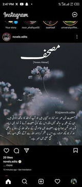 User picture