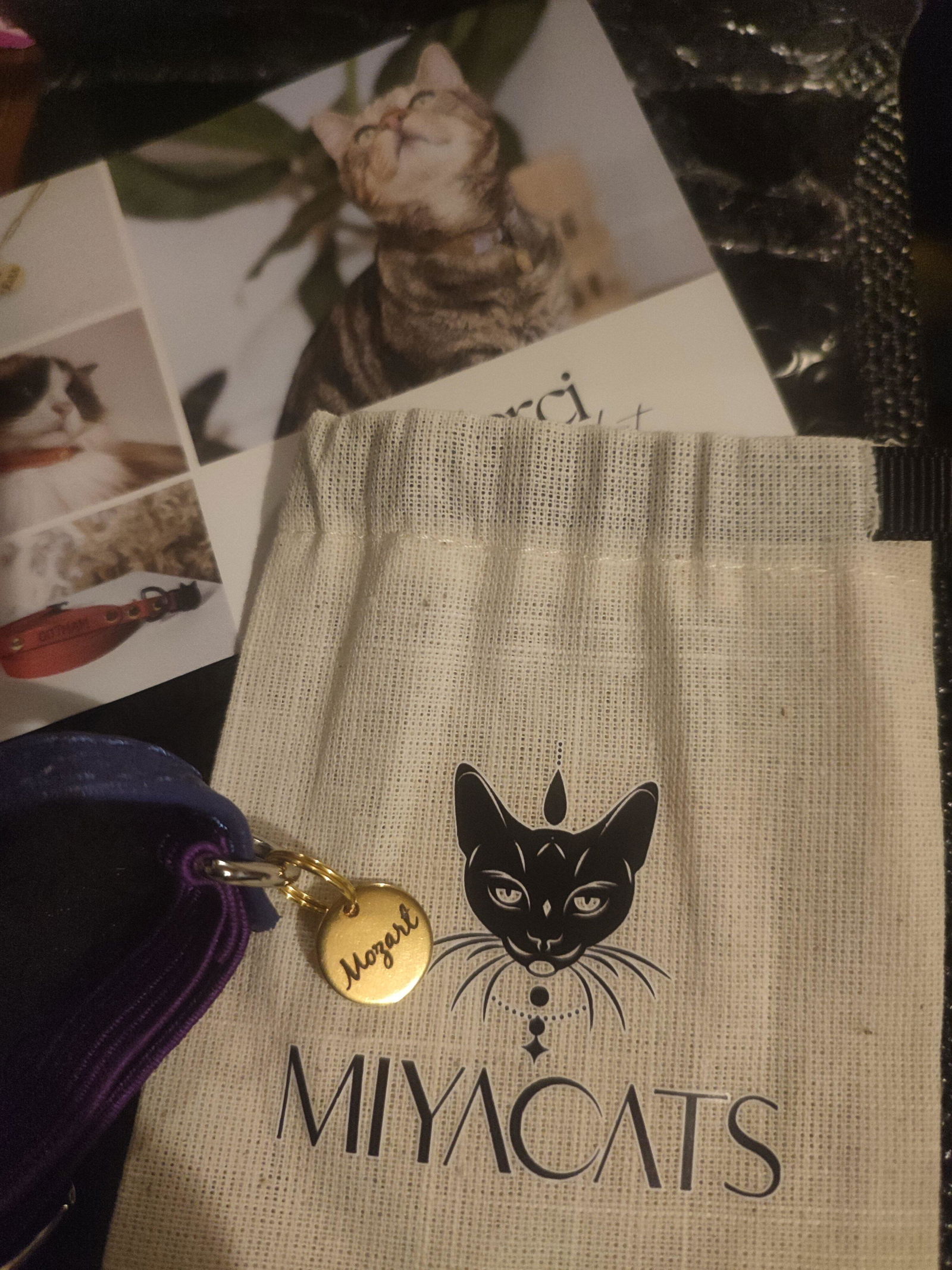 Miya Cats - パーソナライズされた安全な猫用首輪を購入 – Miyacats