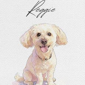 darly85248's watercolor pet portrait