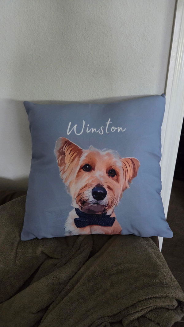 Theresa's pet pillow