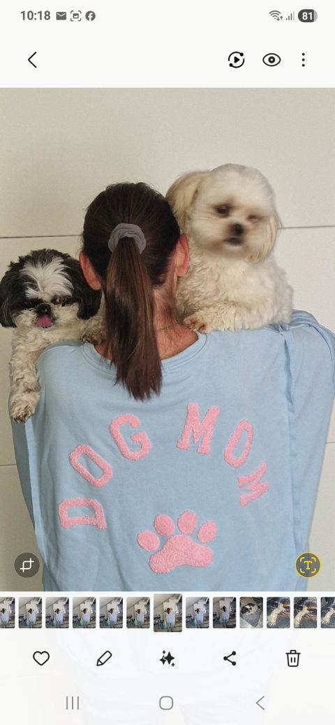 Sweatshirt "DOG MOM“, hellblau/rosa