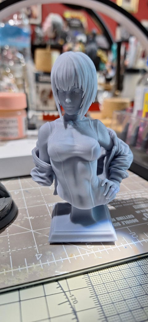 Motoko Kusangi - 3D Printed Statue and Bust