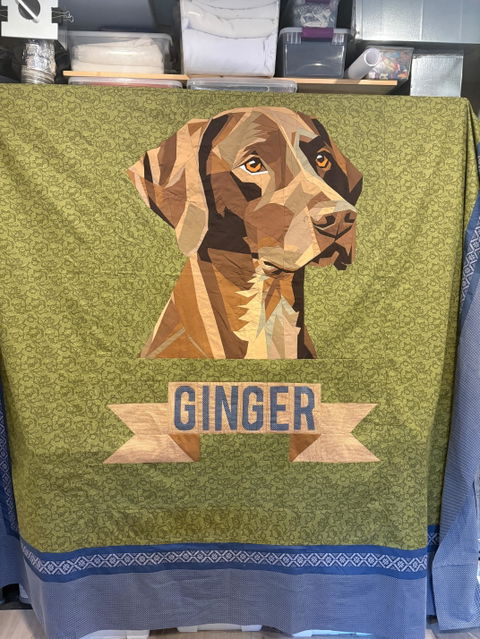 German Shorthaired Pointer