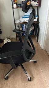 User picture