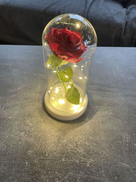 Rose Éternelle Sous Cloche