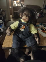 User picture