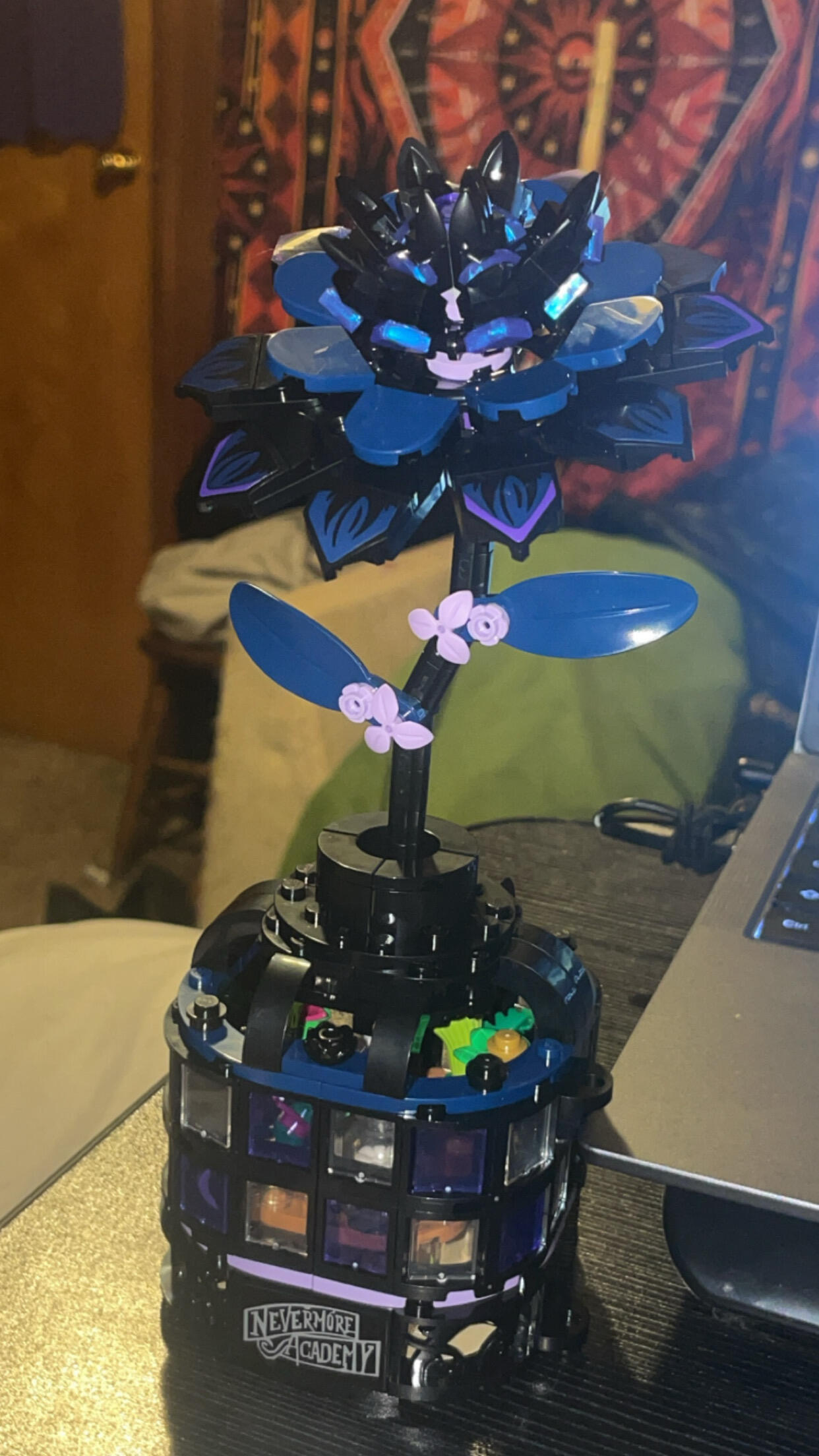 Review picture
