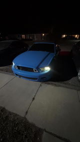 User picture