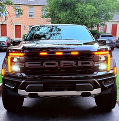 Review picture
