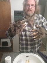 User picture