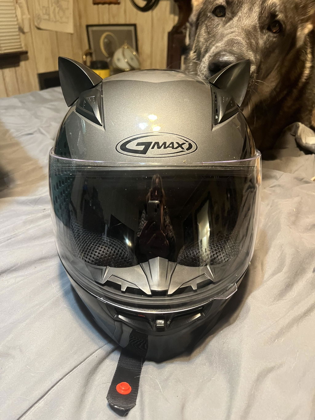 black cat ear motorcycle helmet Adult Personalized Helmet,Men and Women Cool Cat Locomotive Motorcycle Full Face Helmet,DOT/FMVSS-218 Certification Standard,Suitable for All Seasons : Automotive Make your helmet unique Neko-helmet - Nitrinos