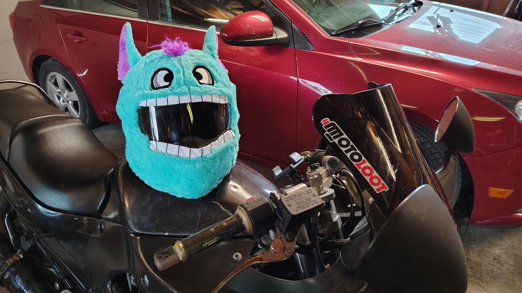 crazy motorcycle helmet cover Moto Loot for Helmet, Fun Rides and Gifts (Cover Only. Helmet Not Included) MAKE EVERYONE HAPPY WS330 Winter Hats - Warm