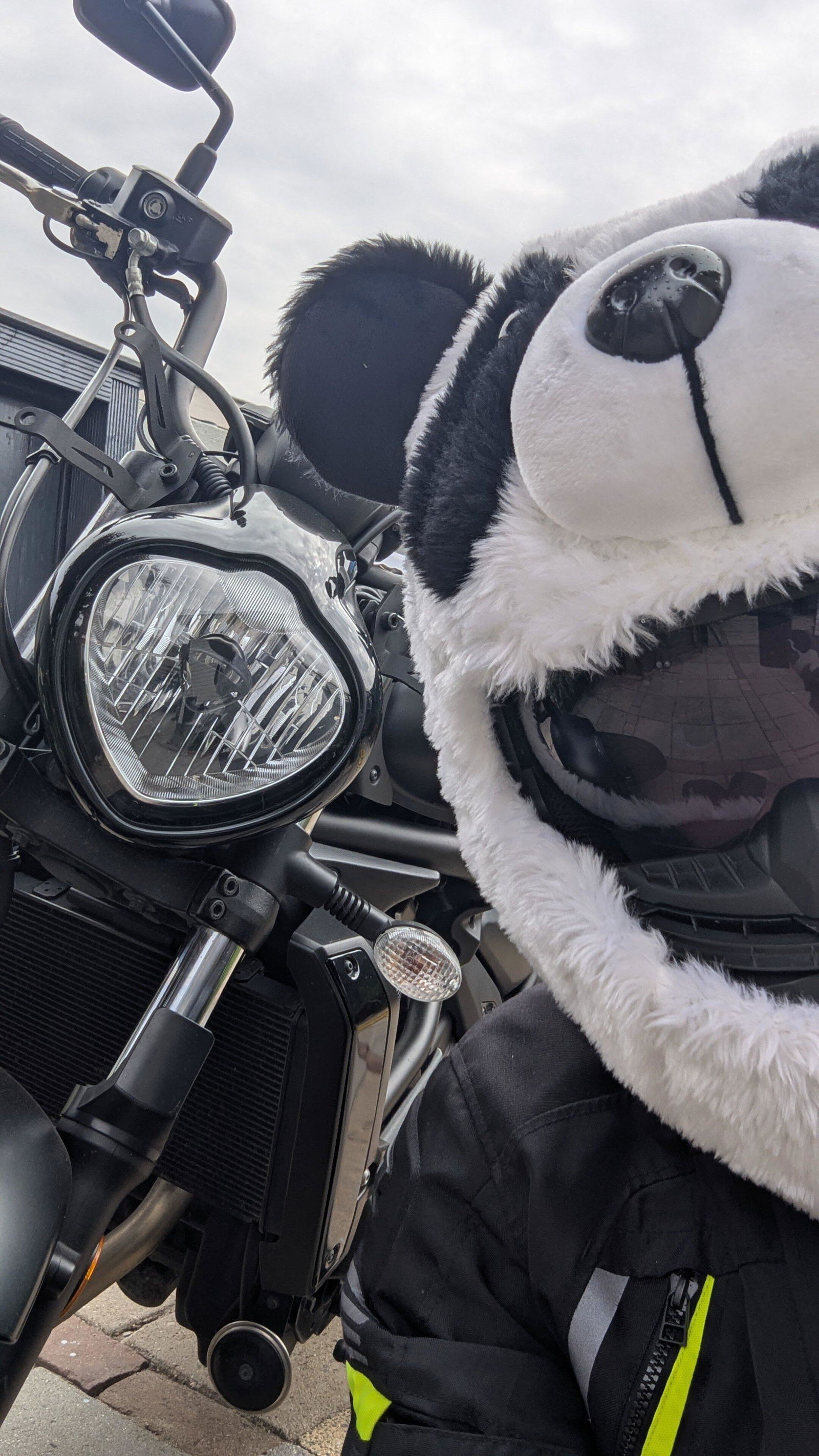 Motorcycle Helmet Cover - Panda - Moto Loot