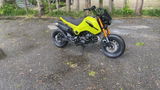 User picture