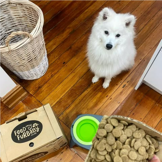 Chicken Dog Food