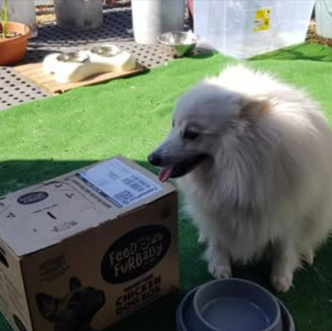 Chicken Dog Food