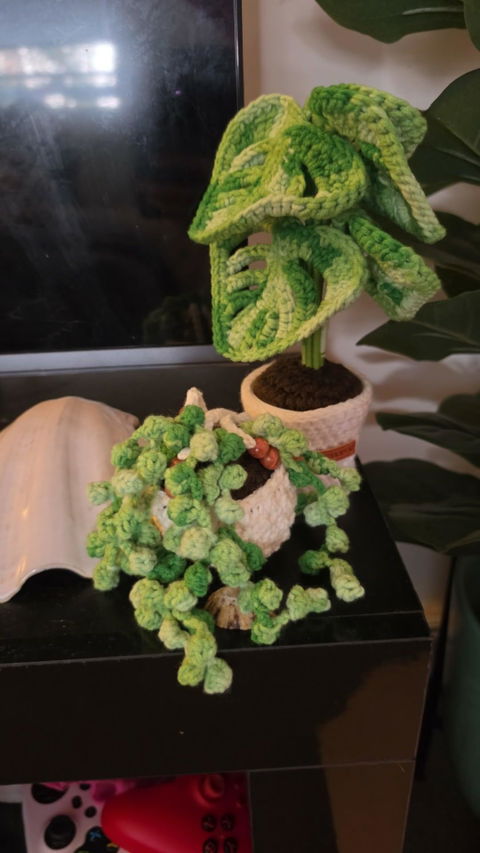 *NEW* Mini Monstera Aurea/Green Variegated Crochet Potted Plant | 2 colours