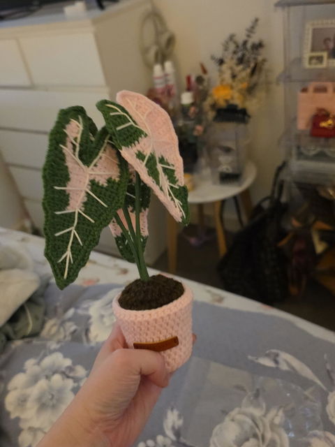 *NEW* Mini Alocasia Amazonica Pink Variegated Crochet Plant