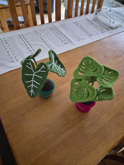 Mini Crochet Monstera Potted Plant Multiple Colours to chose from