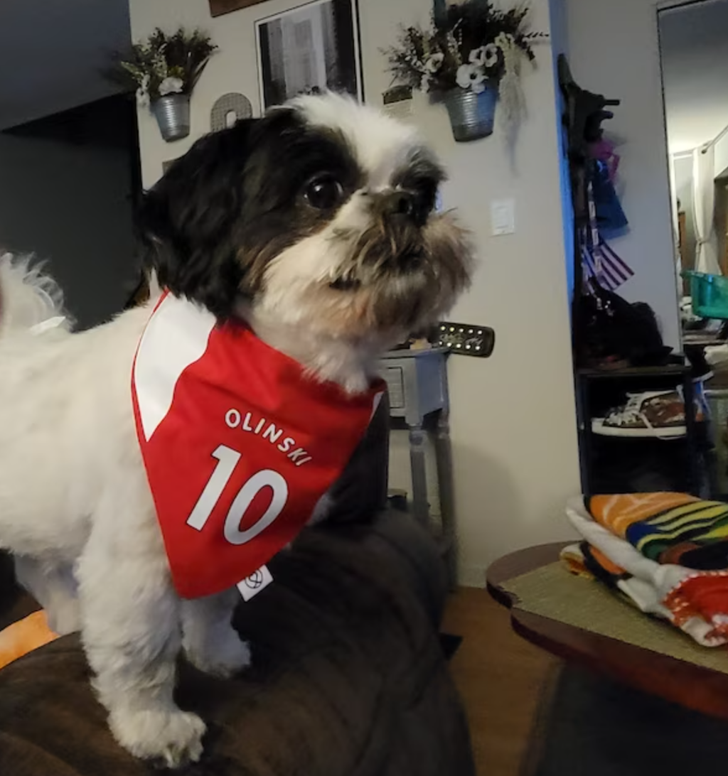 FurGifty