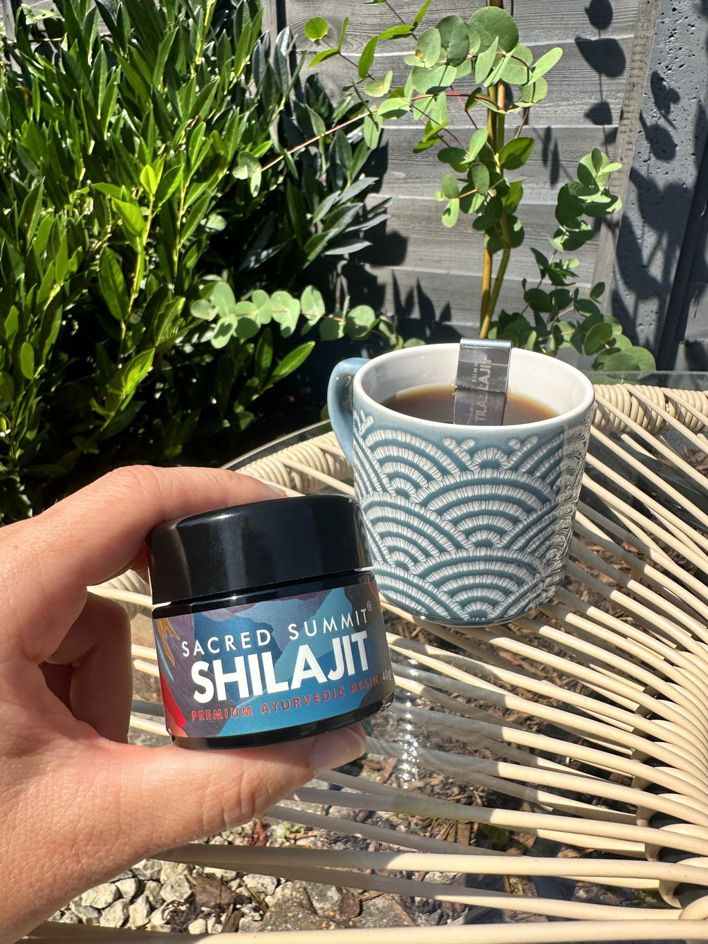 Shilajit Pure Resin