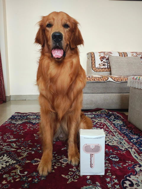 Pet Grooming Brush