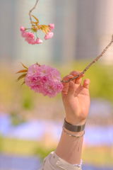 User picture