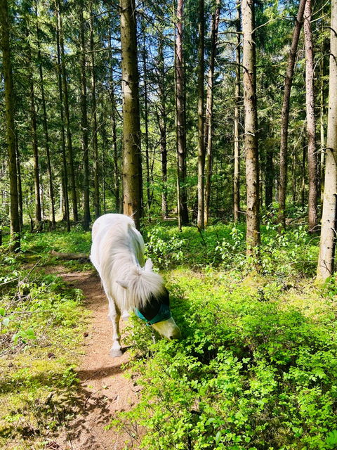 Natural Equibalance