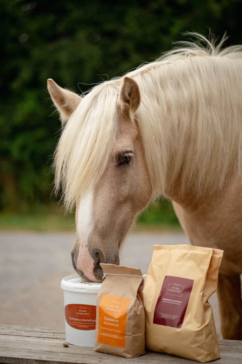 Equibalance LactoDown 3 kg