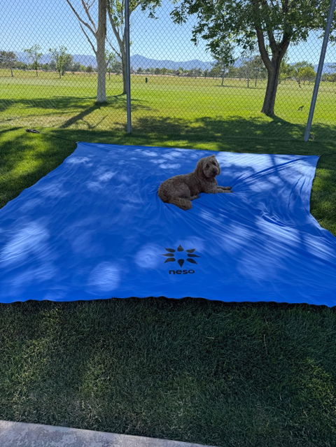 Extra Poles for Neso Grande - 2 PK