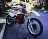 User picture