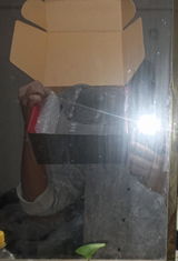 User picture