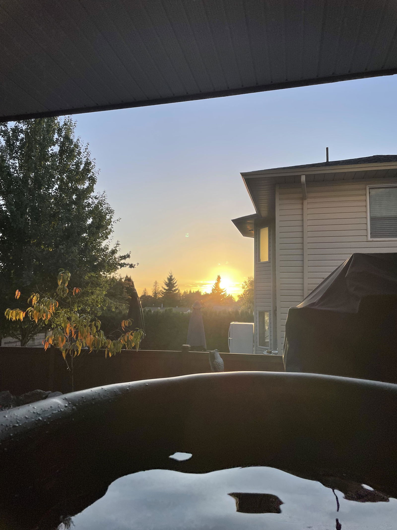 Photo from Byron Loree's review