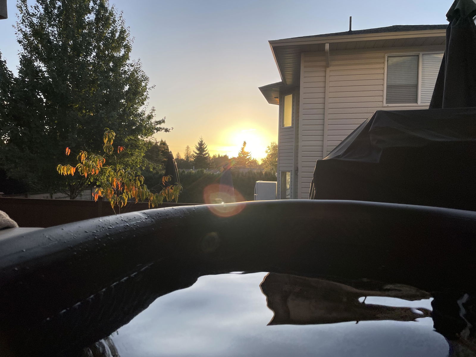 Photo from Byron Loree's review