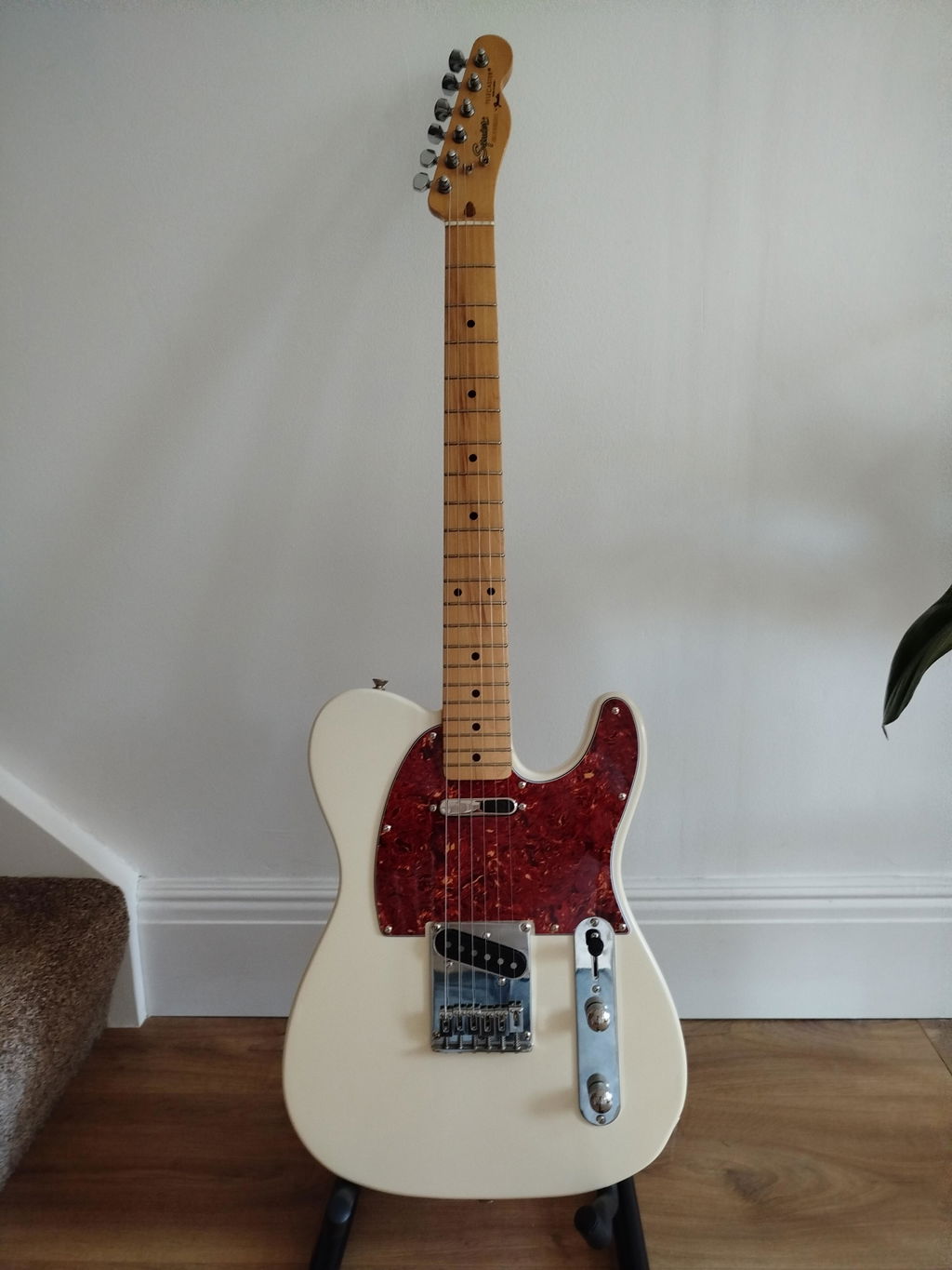 Northwest Guitars