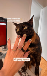 User picture