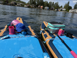 Shark Attack Paddleboard Strap