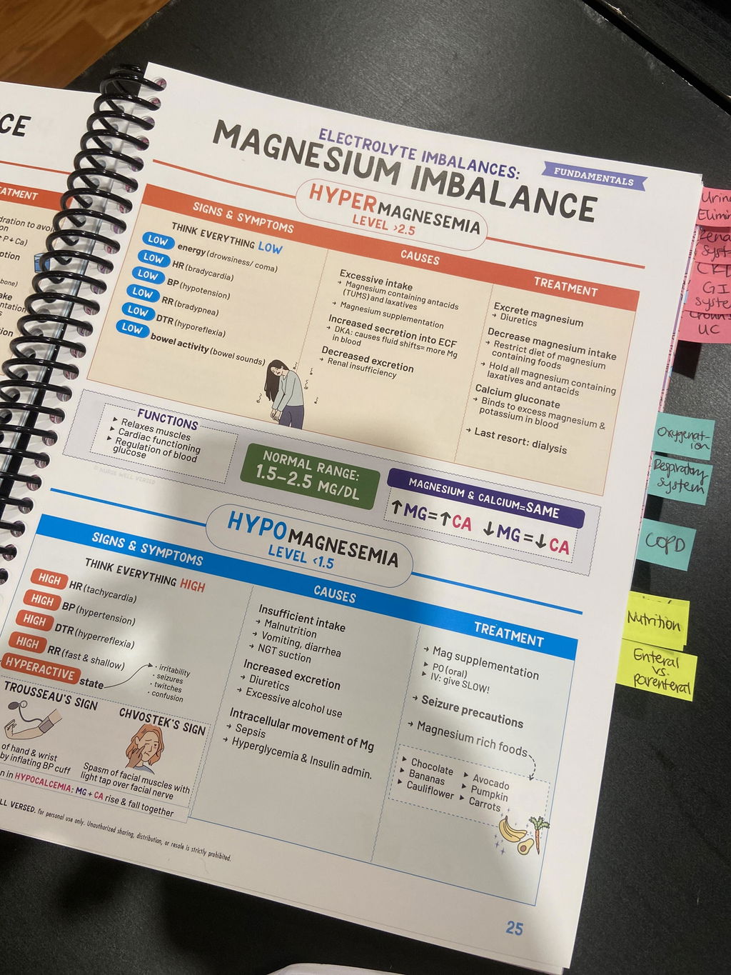 Nursing School Success Bundle