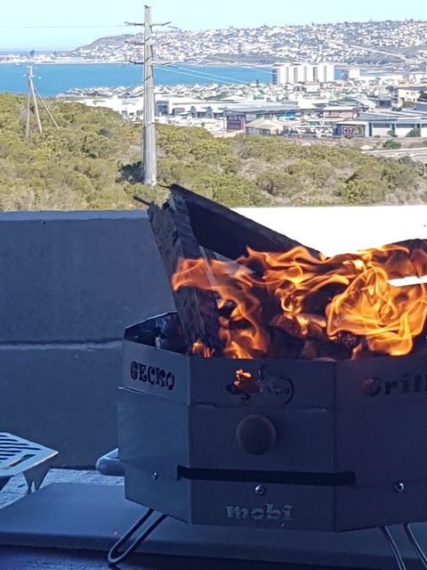Gecko Grill Mobi Combo