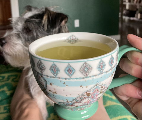 cha cha様用 Japanese Organic Shincha First Harvest Green Tea