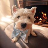 Blue Plaid Dog Collar Sailor Bowtie