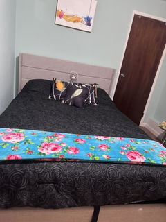 Review picture