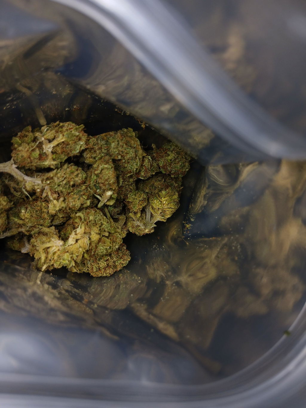 Sour Lemon | D9