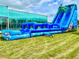 25ft Coral Crush Water Slide