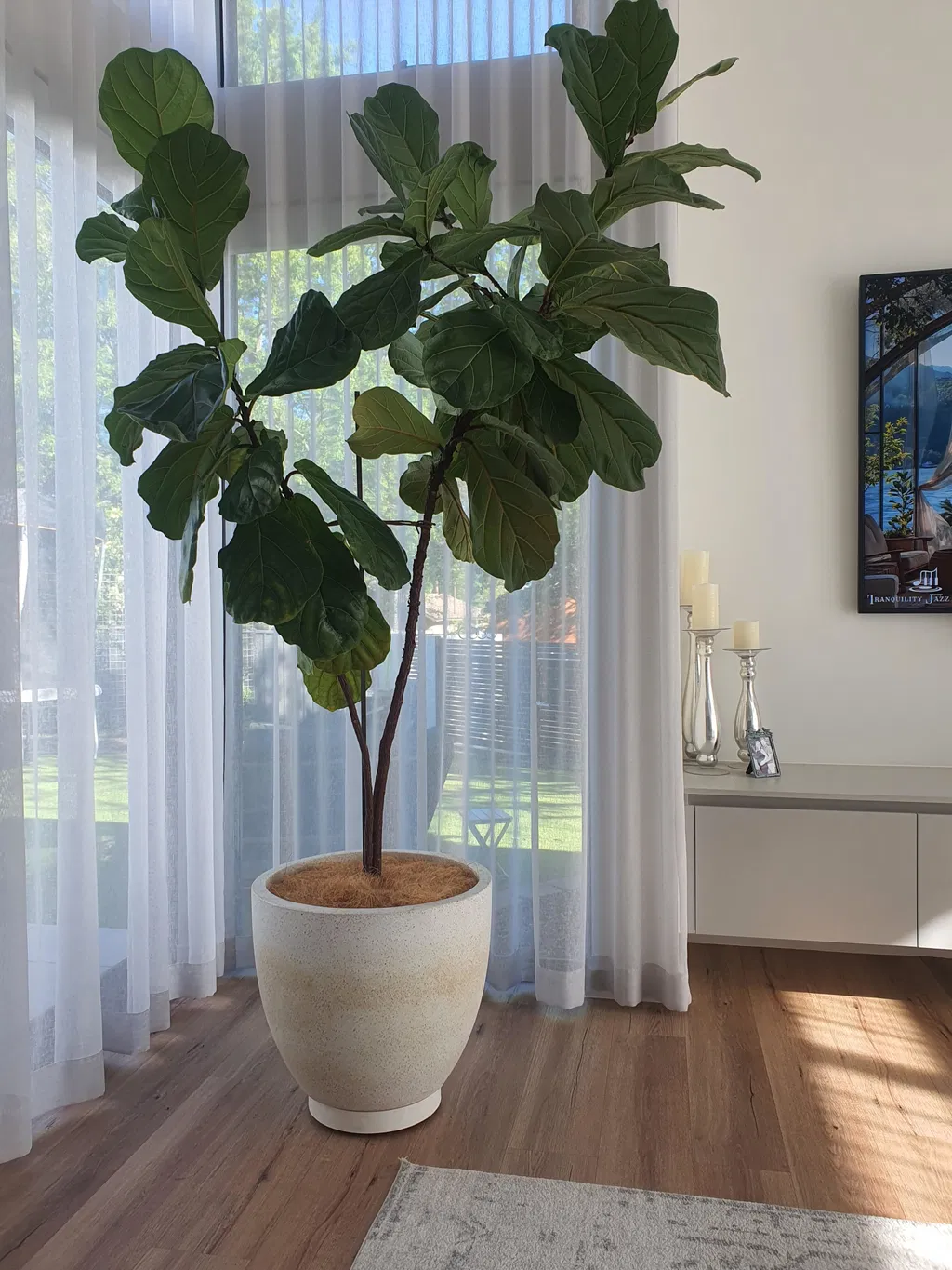 The Original Plant Glider | 30cm (90kg)