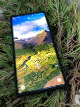 User picture