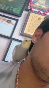 User picture