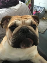User picture