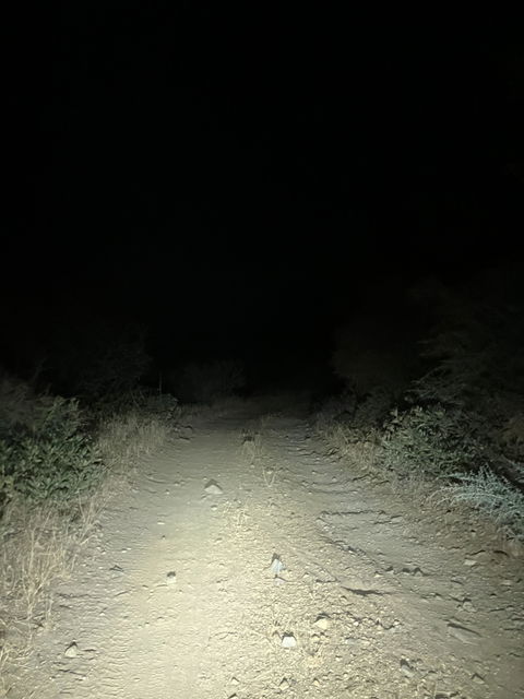Trail Evo Bike Light