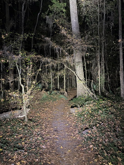 Trail Evo Bike Light